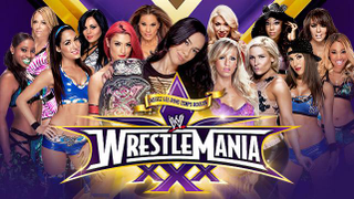 Illustration for article titled Wrestlemania Reaction: A Tongue-in-Cheek Review by a semi-Casual Fan